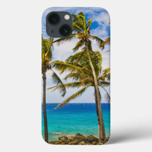 Coconut palm trees (Cocos nucifera) swaying in iPhone 13 Case