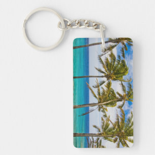 Coconut palm trees (Cocos nucifera) swaying in Key Ring