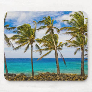 Coconut palm trees (Cocos nucifera) swaying in Mouse Pad