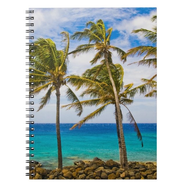 Coconut palm trees (Cocos nucifera) swaying in Notebook (Front)