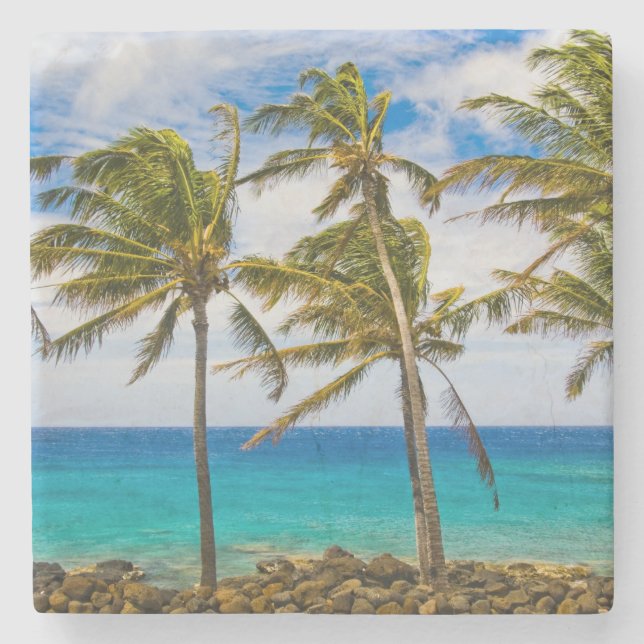 Coconut palm trees (Cocos nucifera) swaying in Stone Coaster (Front)