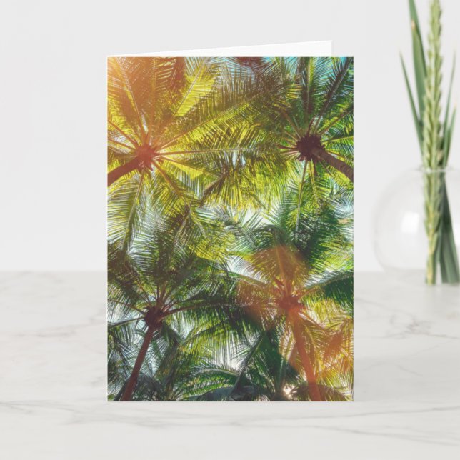 Coconut Palm trees on the Beach Card (Front)