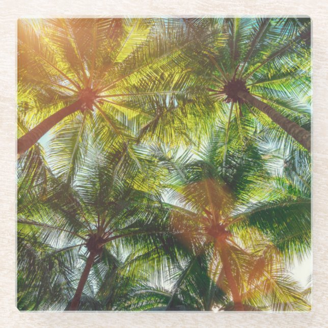 Coconut Palm trees on the Beach Glass Coaster (Front)