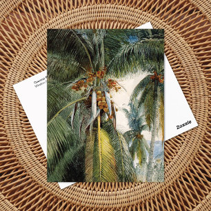 Coconut Palms, Key West Winslow Homer Postcard