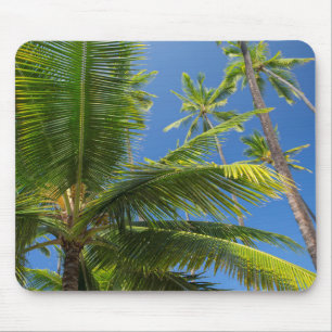 Coconut palms, Pu'uhonua o Honaunau 1 Mouse Pad