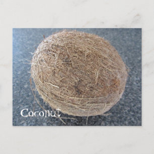 Coconut Postcard
