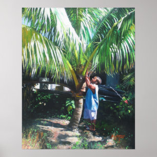 Coconut Shade 2014 Poster