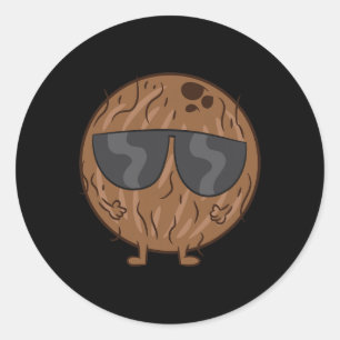 Coconut Summer Fruit Coconut With Sunglasses Love  Classic Round Sticker