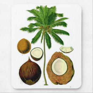 Coconut Tree Botanical Illustration Mouse Pad