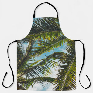 Coconut tree leaves under blue sky in the morning apron