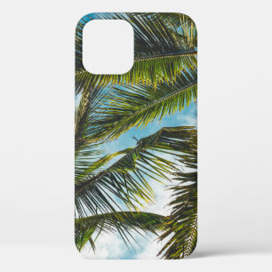 Coconut tree leaves under blue sky in the morning iPhone 12 case