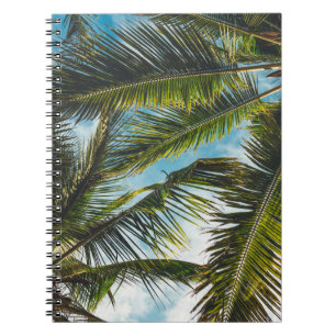 Coconut tree leaves under blue sky in the morning notebook