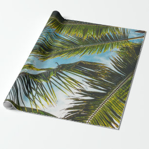Coconut tree leaves under blue sky in the morning wrapping paper