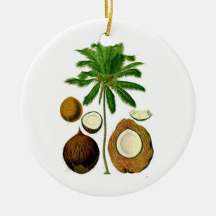 Coconut Tree Ornament