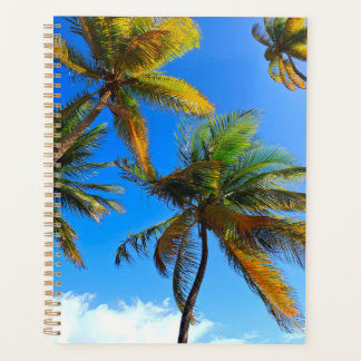 Coconut Tree Planner – Plan in Paradise