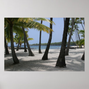Coconut Trees at Place of Refuge, Hawaii - Print