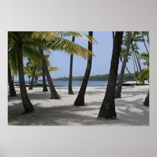 Coconut Trees at Place of Refuge, Hawaii - Print (Front)