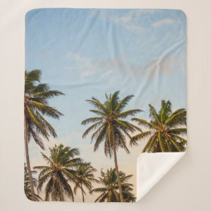 Coconut trees under cloudy sky in the morning sherpa blanket