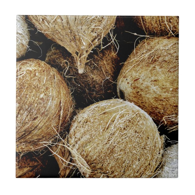 Coconuts Ceramic Tile (Front)