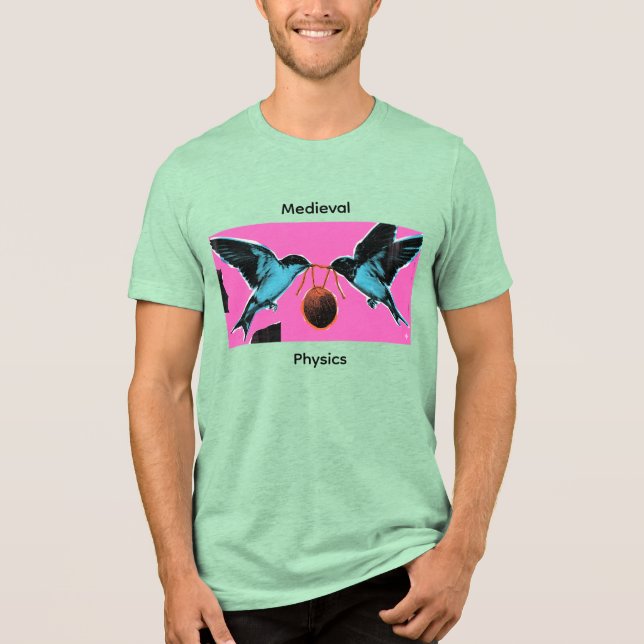 Coconuts Don't Migrate Mediaeval Physics Tee (Front)