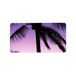 Coconuts in the Wind Label