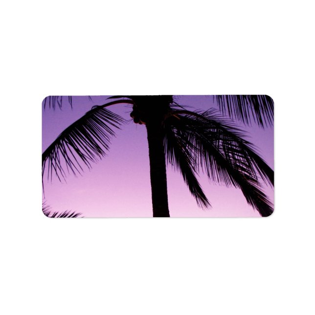 Coconuts in the Wind Label (Front)