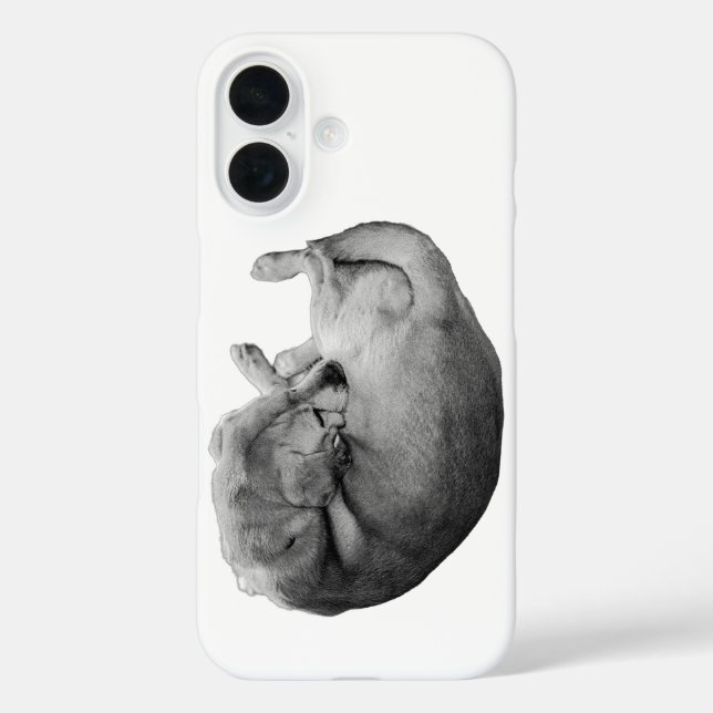 Cocoon of Calm Case-Mate iPhone Case (Back)