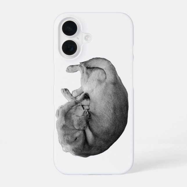 Cocoon of Calm iPhone 16 Case (Back)