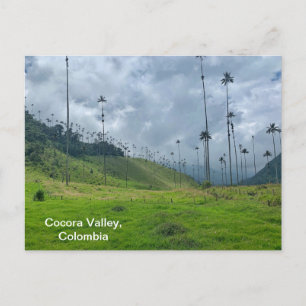 Cocora Valley, Colombia Postcard