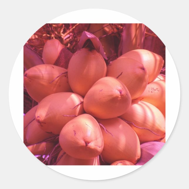 cocos In colour Classic Round Sticker (Front)