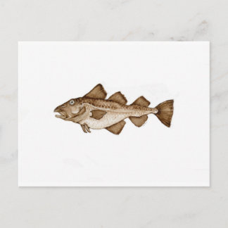 Cod 1 brown286.jpg postcard
