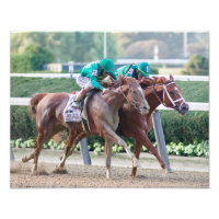 Code of Honour & Vino Rosso