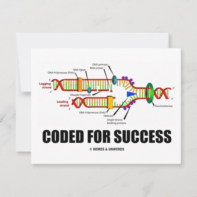 Coded For Success (DNA Replication) (Front)