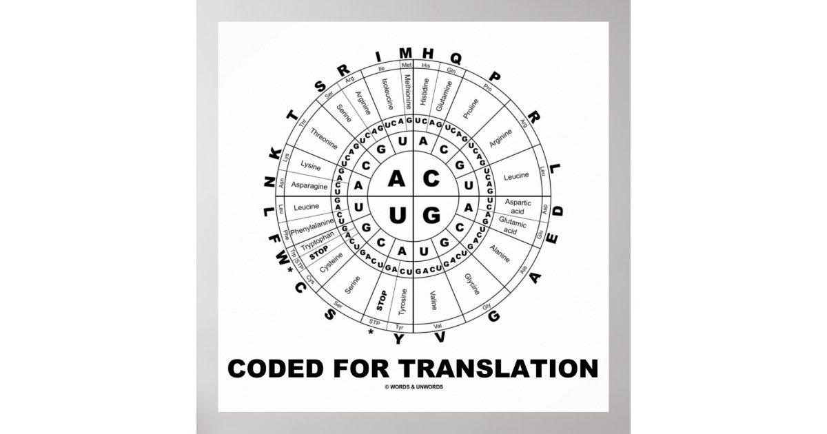 Coded For Translation (RNA Codon Wheel) Poster | Zazzle