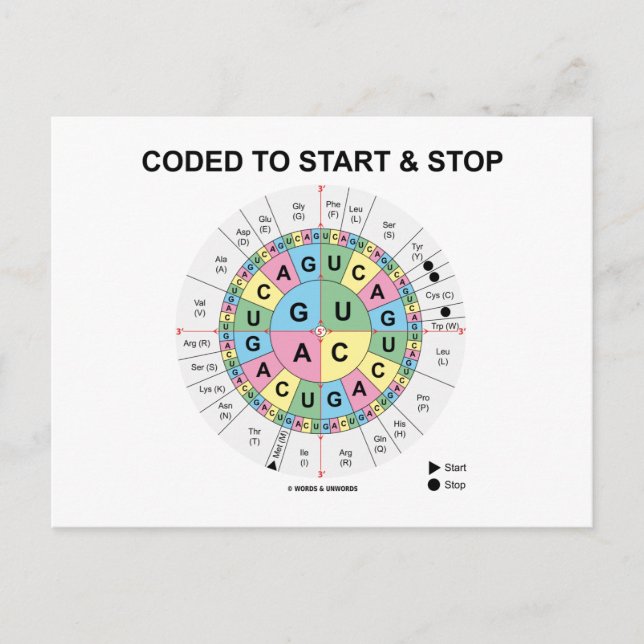 Coded To Start And Stop (Codon Wheel) Postcard (Front)