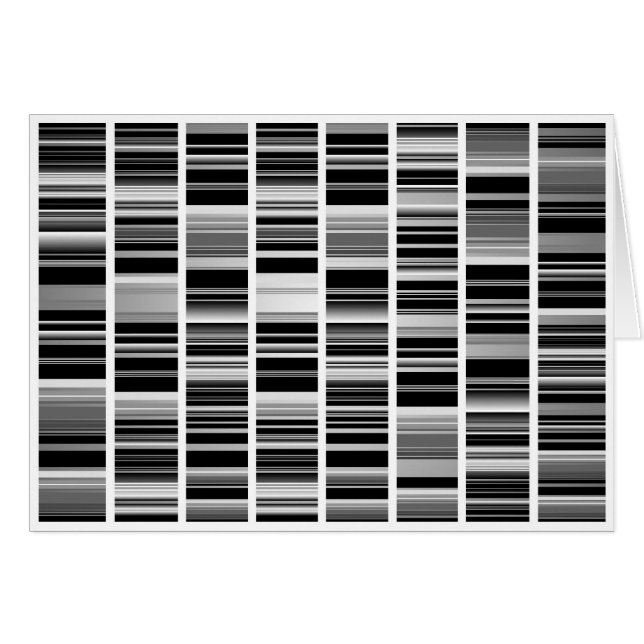 Codex (Front Horizontal)