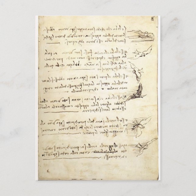 Codex on the flight of birds by Leonardo da Vinci Postcard (Front)