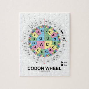 Codon Wheel (RNA Codons Amino Acids) Jigsaw Puzzle