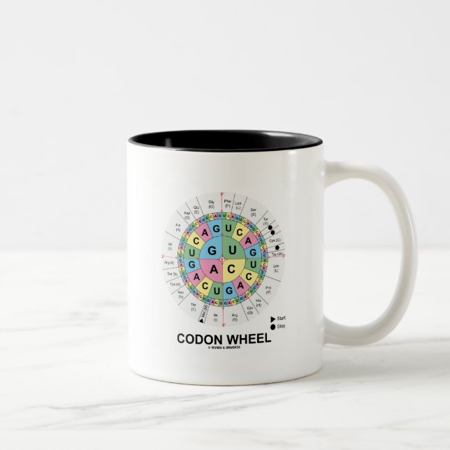 Codon Wheel (RNA Codons Amino Acids) Two-Tone Coffee Mug (Right)