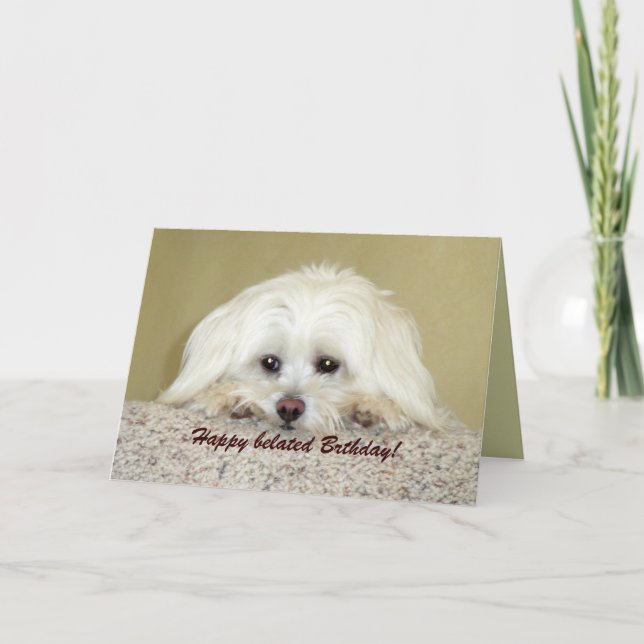 'Cody'  Greeting card Happy belated Birthday! (Front)