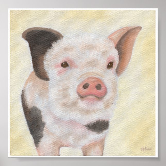 Cody the Piglet square poster print (Front)