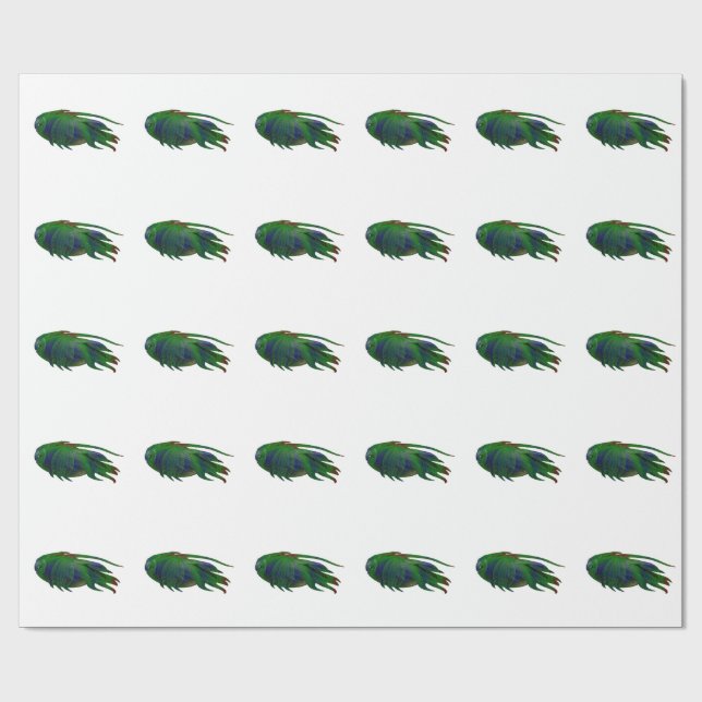 Coelacanth Fossil replica Wrapping Paper (Flat)