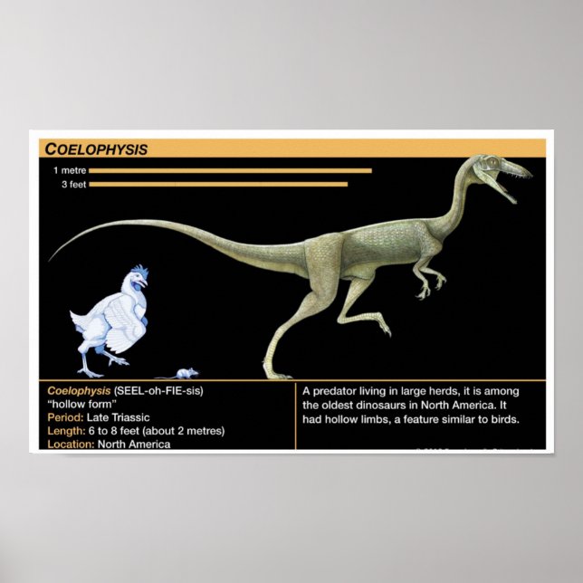 Coelophysis - Biology Jurassic Poster (Front)