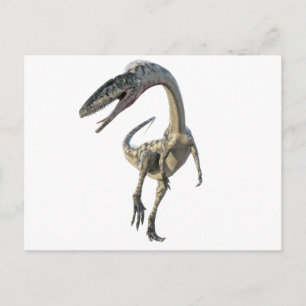 Coelophysis Dinosaur Runiing to the Front Postcard