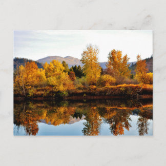 Coeur D Alene River near Cataldo, Idaho. Postcard