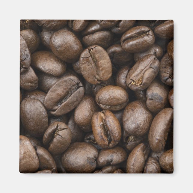 Coffee Bean Pattern Magnet (Front)