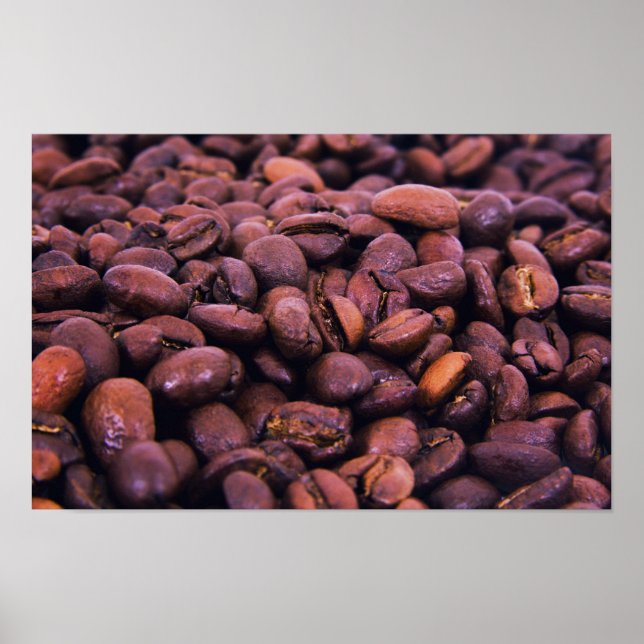 Coffee beans grains poster (Front)