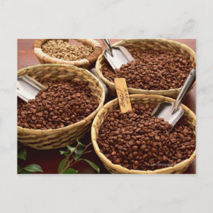 Coffee Beans Postcard