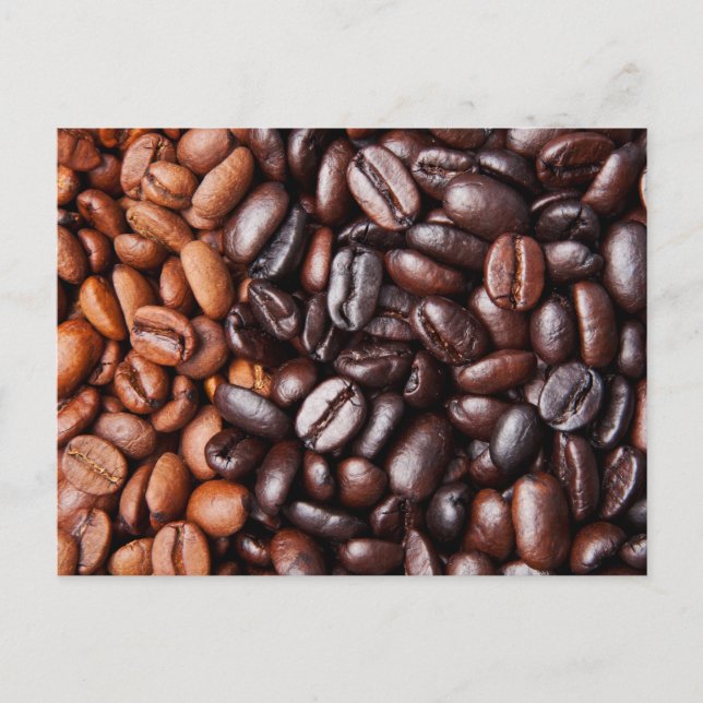 Coffee Beans - whole light and dark roasted Postcard (Front)