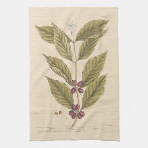 Coffee by Elizabeth Blackwell Tea Towel